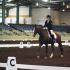 Ole South Dressage